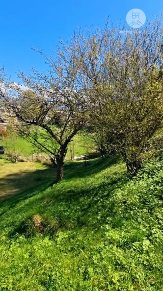 Krásne zrenovovaná chalupa/dom - Horehronie