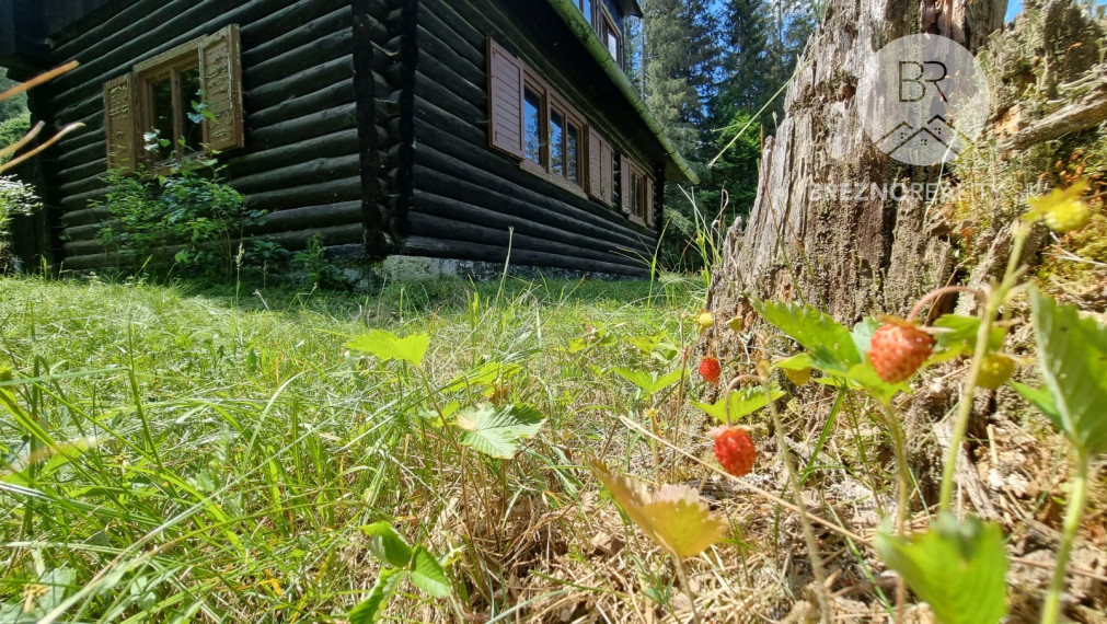 Rekreačný pozemok s drevenicou – Hronec - príroda, výhľady, polosamota