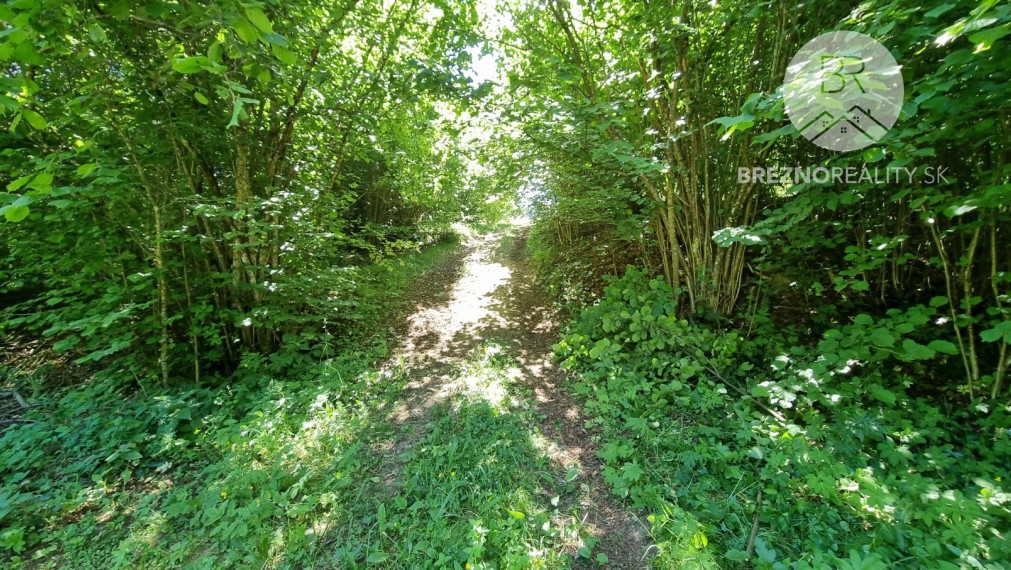 Rekreačný pozemok s drevenicou – Hronec - príroda, výhľady, polosamota