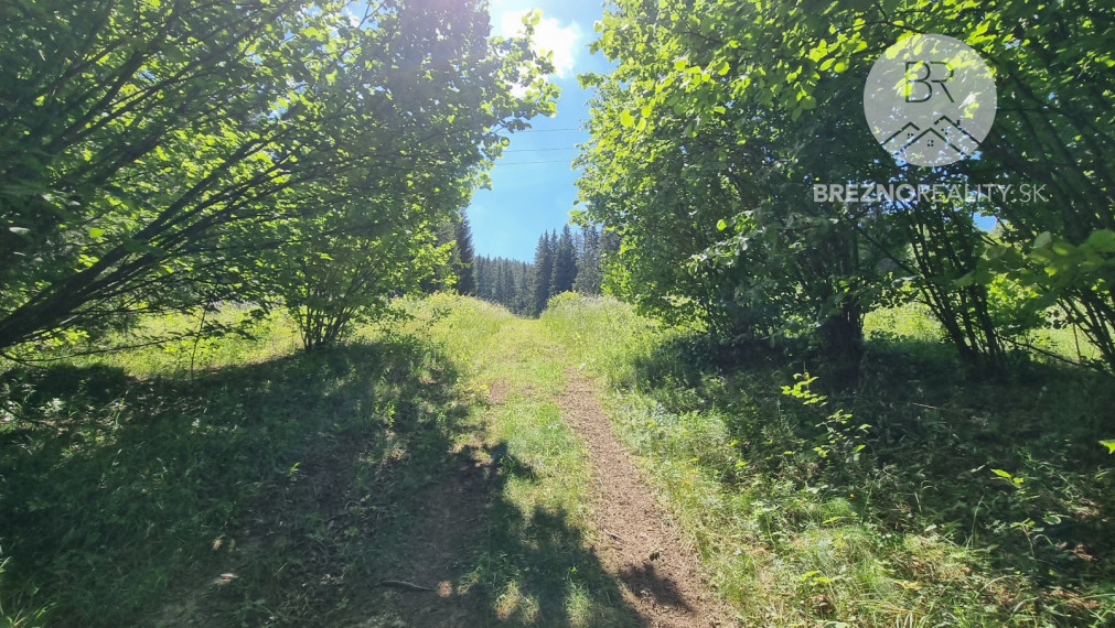 Rekreačný pozemok s drevenicou – Hronec - príroda, výhľady, polosamota