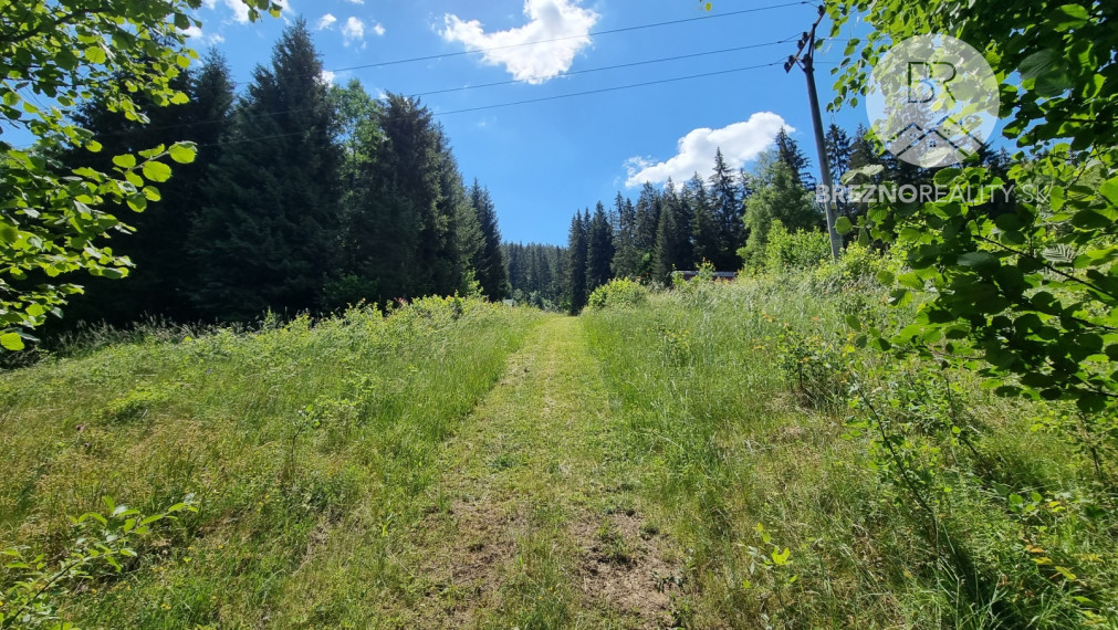 Rekreačný pozemok s drevenicou – Hronec - príroda, výhľady, polosamota