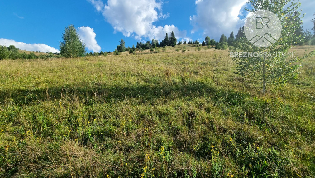 Stavebný pozemok v blízkosti lyž. strediska - Čierny Balog