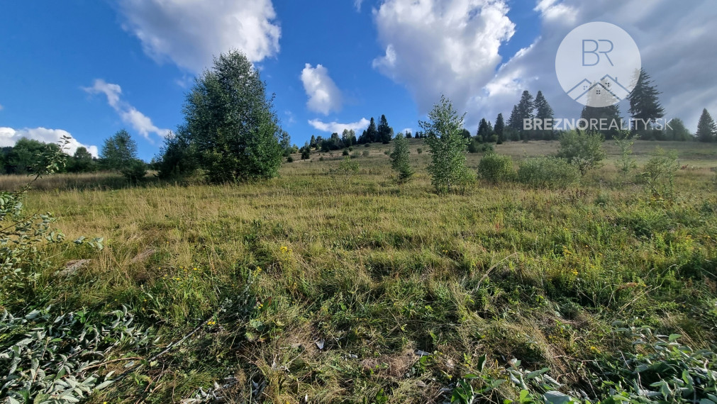 Stavebný pozemok v blízkosti lyž. strediska - Čierny Balog
