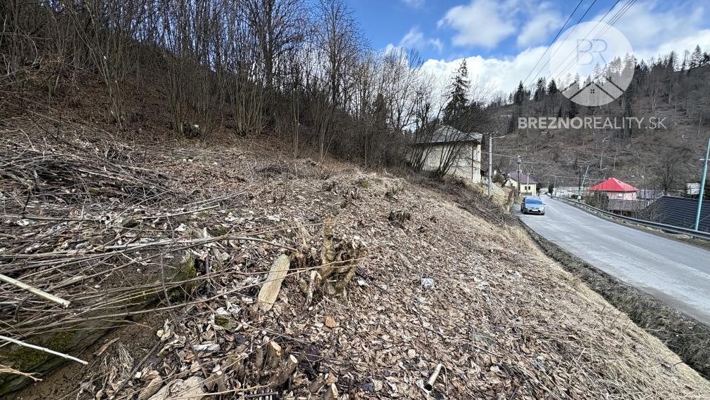 Pozemok v blízkosti lyžiarskeho strediska - Čierny Balog
