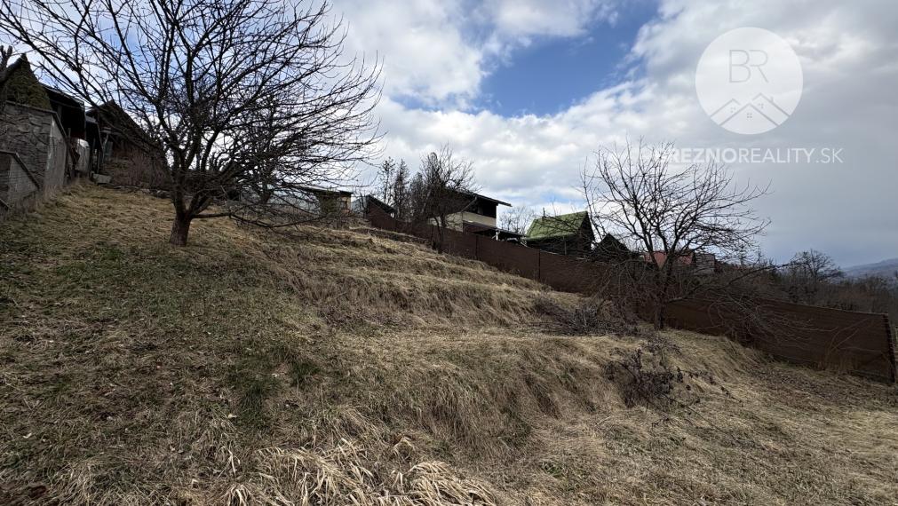 Pozemok na predaj - záhradkárská časť  - Brezno - Zadné Halny