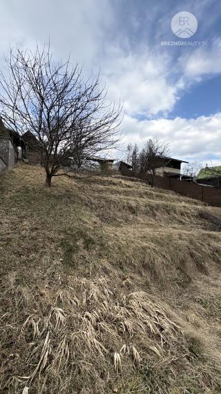 Pozemok na predaj - záhradkárská časť  - Brezno - Zadné Halny